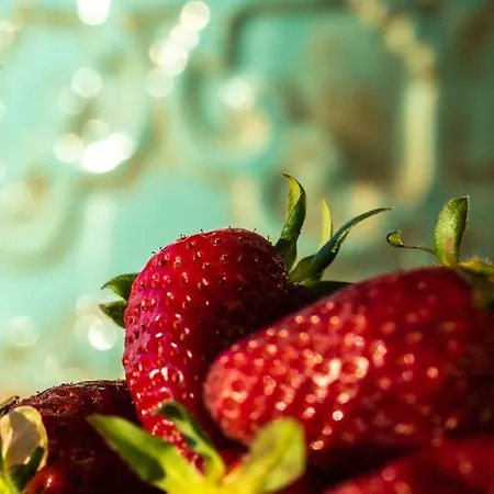 Blue Chill Tsoukaládhes